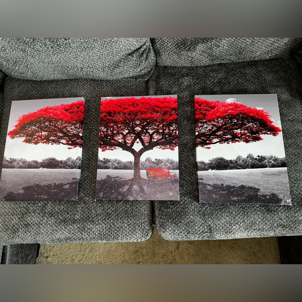 Set of 3 canvas decor